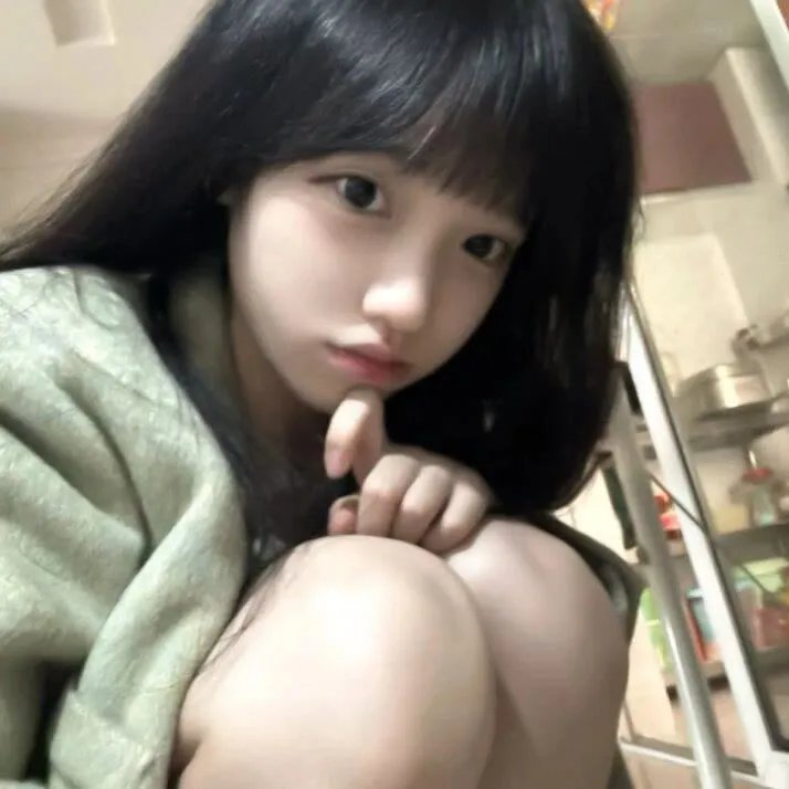 动画纪录
